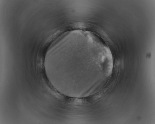 X0000091860330200710031706