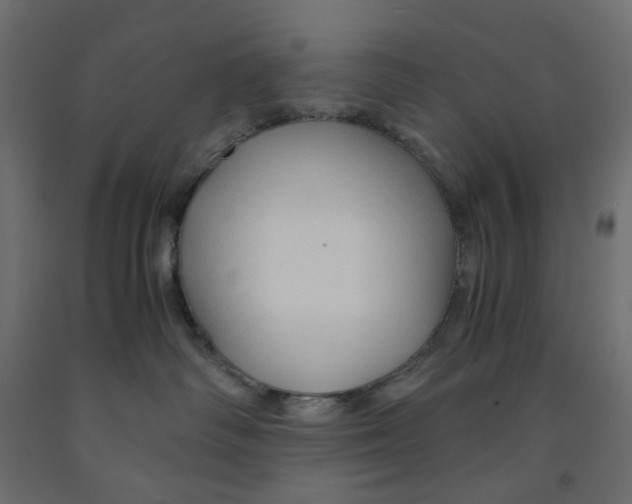 X0000091860334200710031706