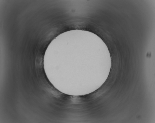 X0000091860336200710031706