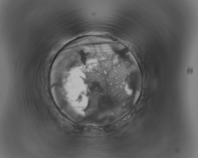 X0000091860337200710031706