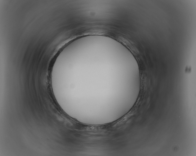 X0000091860338200710031706