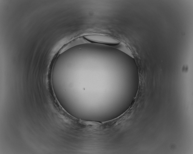 X0000091860340200710031706