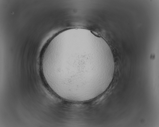 X0000091860342200710031706