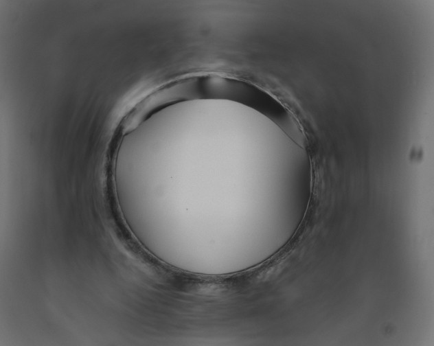 X0000091860344200710031706