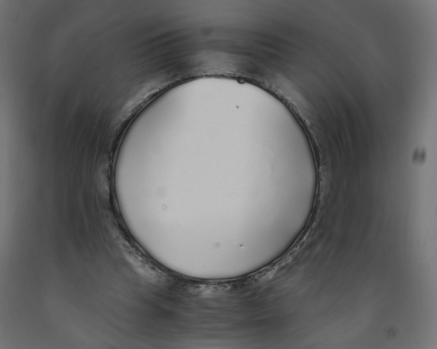 X0000091860345200710031706