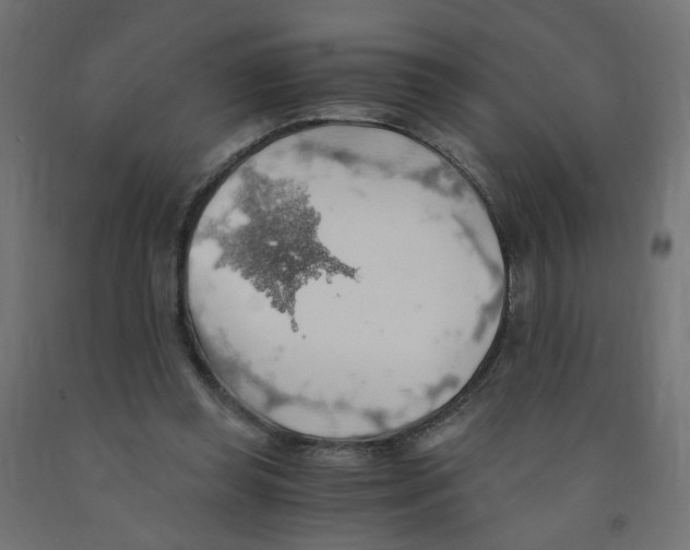 X0000091860349200710031706