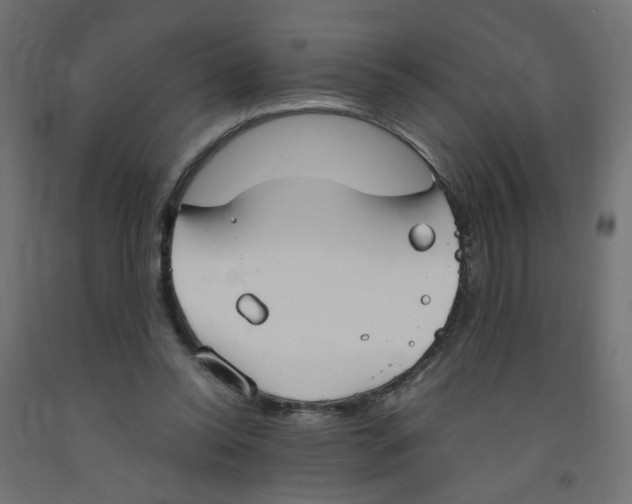 X0000091860350200710031706