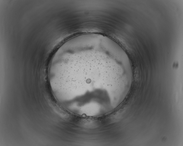 X0000091860351200710031706