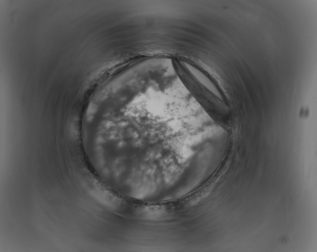 X0000091860353200710031706