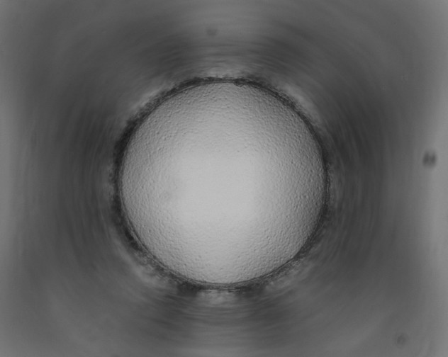 X0000091860354200710031706