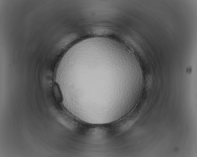 X0000091860356200710031706