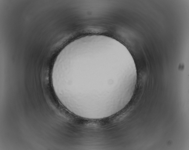 X0000091860358200710031706