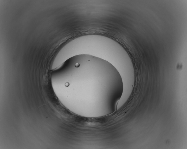 X0000091860360200710031706