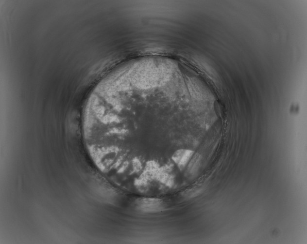 X0000091860361200710031706