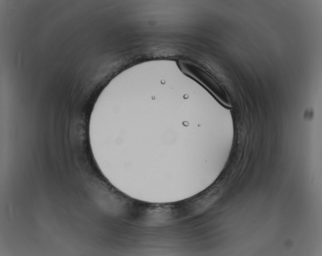 X0000091860362200710031706