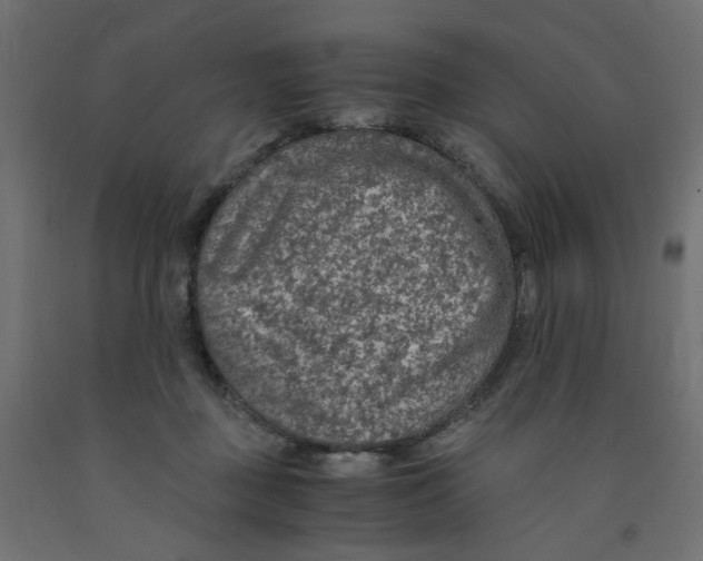 X0000091860363200710031706