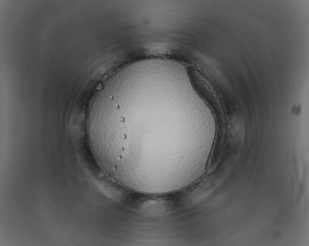 X0000091860364200710031706