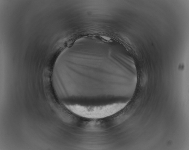 X0000091860366200710031706