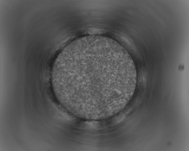 X0000091860367200710031706