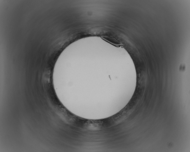 X0000091860368200710031706