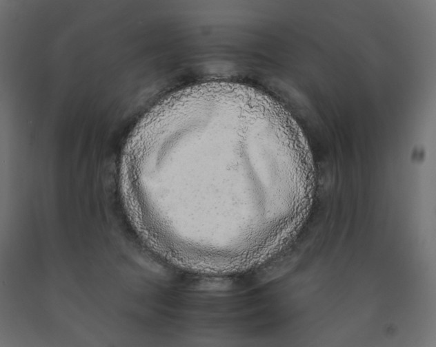 X0000091860369200710031706