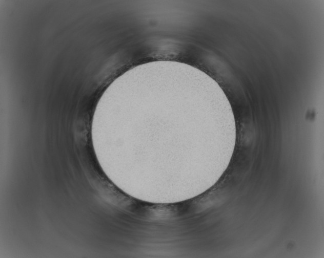 X0000091860370200710031706