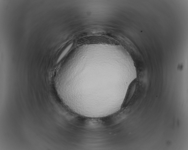 X0000091860372200710031706