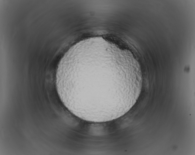 X0000091860373200710031706