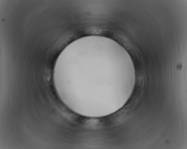 X0000091860374200710031706