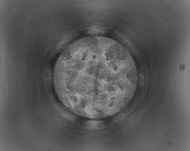 X0000091860375200710031706