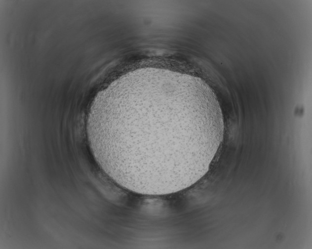 X0000091860376200710031706