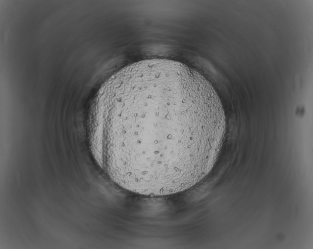 X0000091860377200710031706