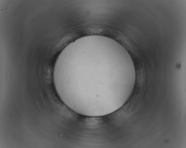 X0000091860378200710031706