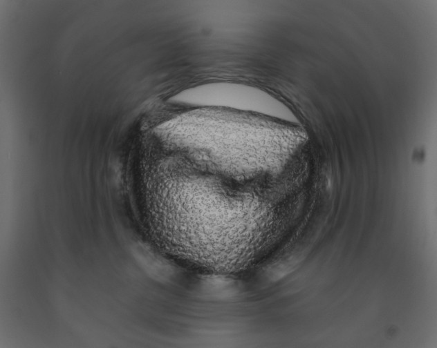 X0000091860380200710031706