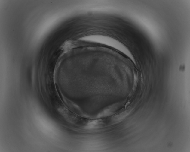 X0000091860382200710031706