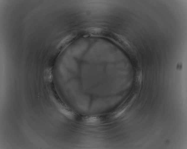 X0000091860383200710031706