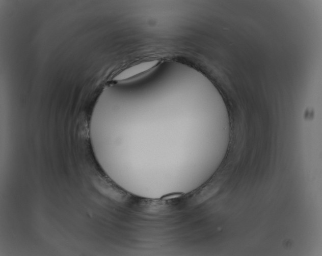 X0000091860384200710031706