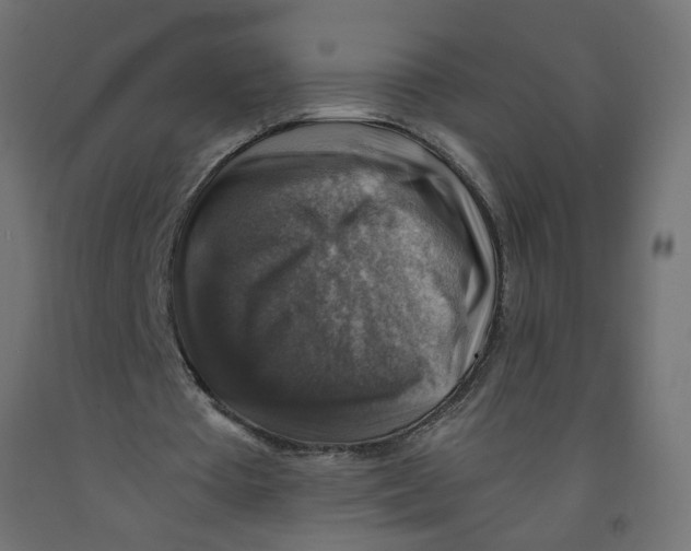 X0000091860385200710031706