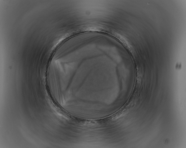 X0000091860386200710031706