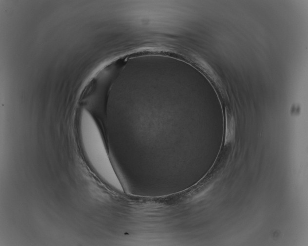 X0000091860387200710031706