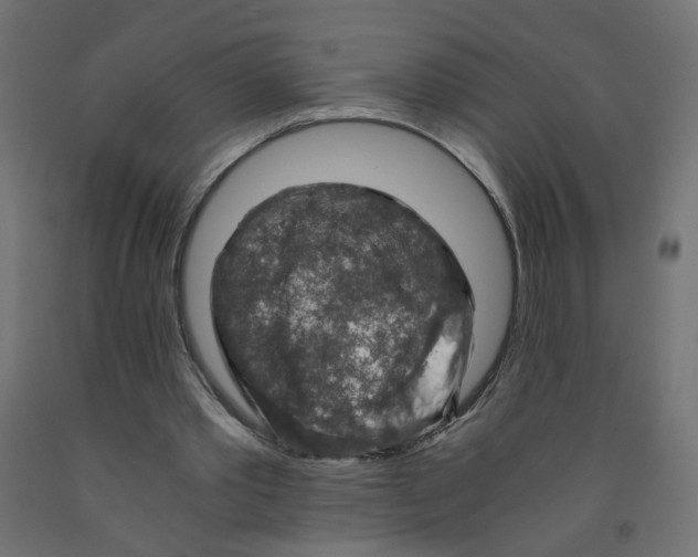 X0000091860389200710031706