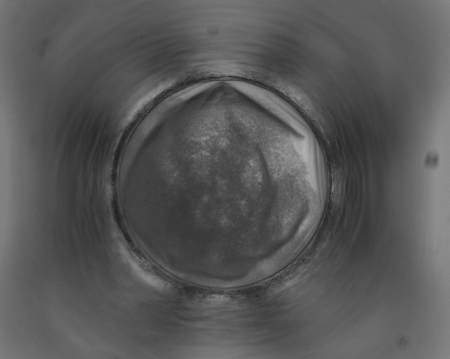 X0000091860390200710031706