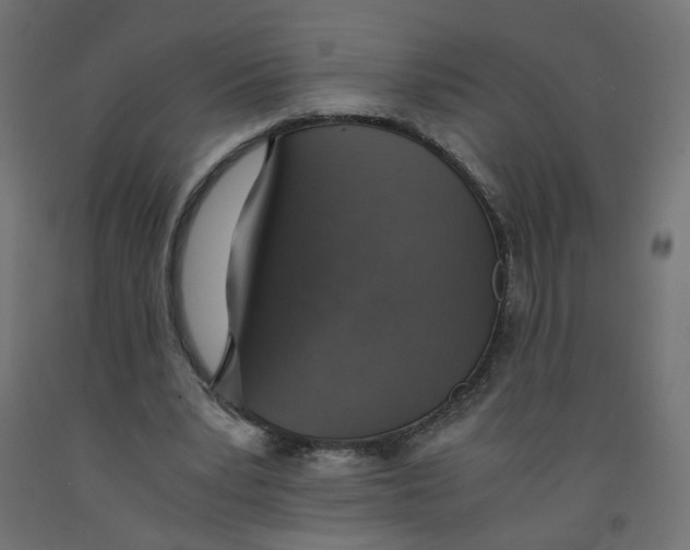 X0000091860391200710031706