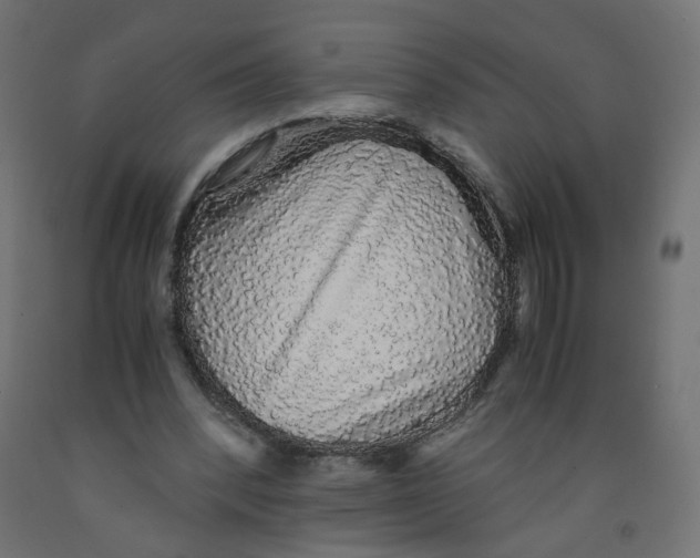 X0000091860392200710031706