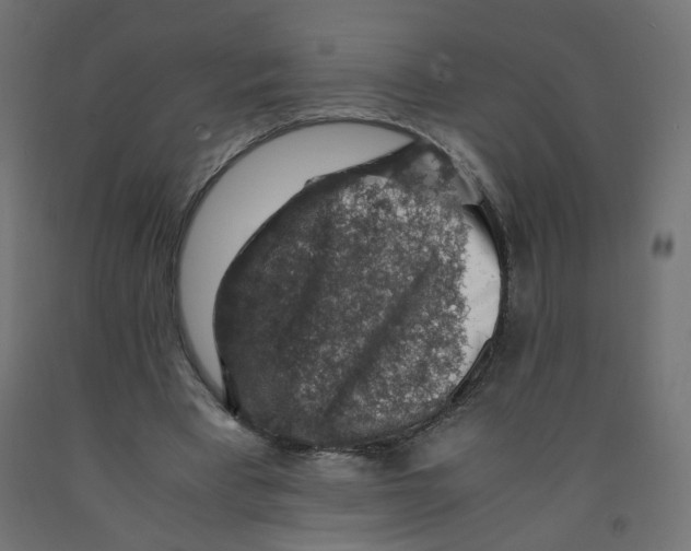 X0000091860393200710031706