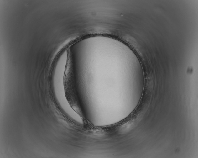 X0000091860395200710031706