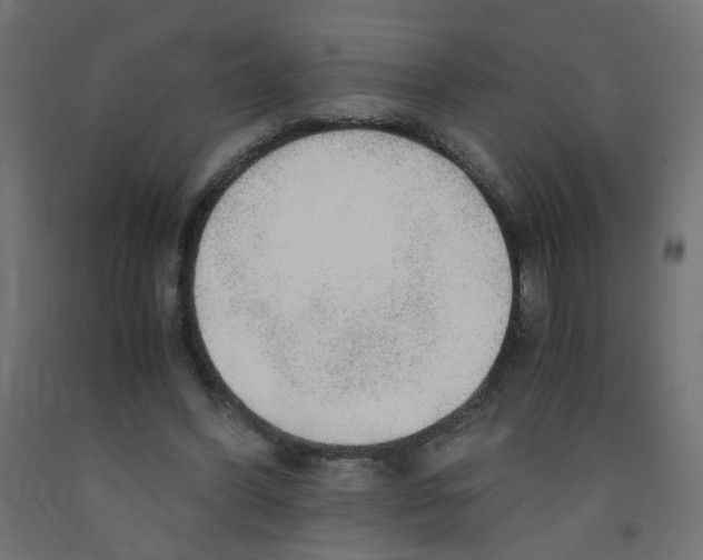 X0000091860396200710031706