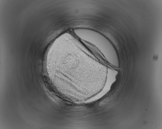 X0000091860397200710031706