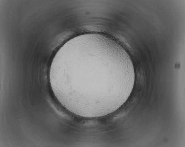 X0000091860398200710031706