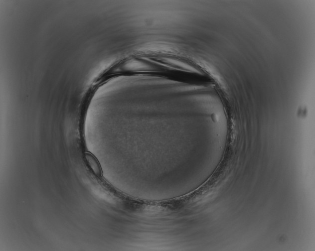 X0000091860399200710031706